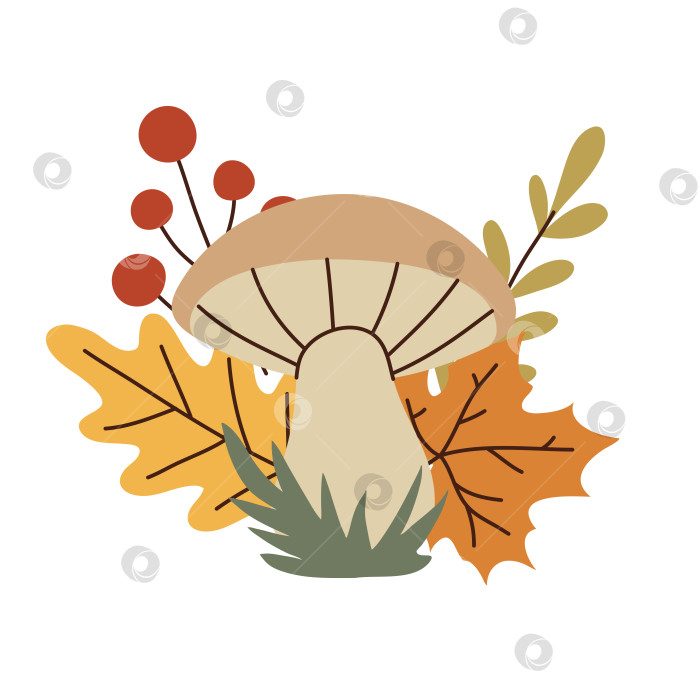 Скачать Простой плоский стиль с грибами и осенними листьями фотосток Ozero