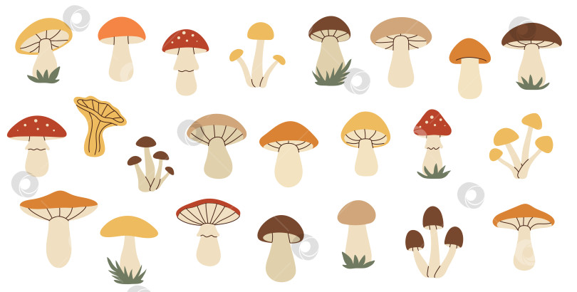 Скачать Простой плоский набор грибов фотосток Ozero