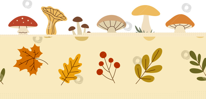 Скачать Простой плоский набор из грибов и осенних листьев фотосток Ozero