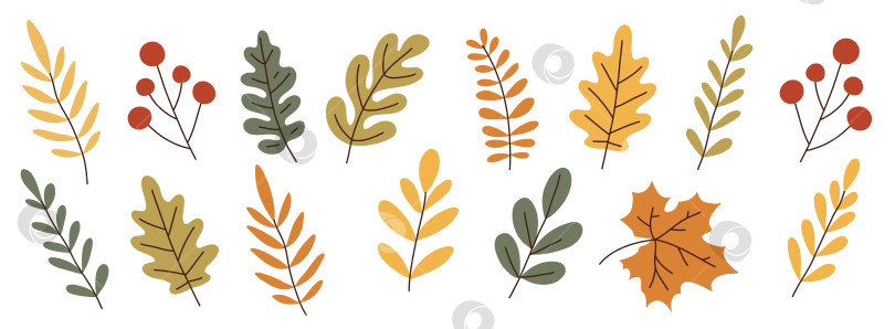 Скачать Простой набор осенних листьев в плоском стиле фотосток Ozero