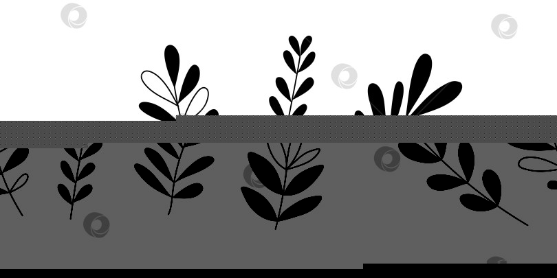 Скачать Нарисованные от руки листья каракулей выделяются на белом фоне фотосток Ozero