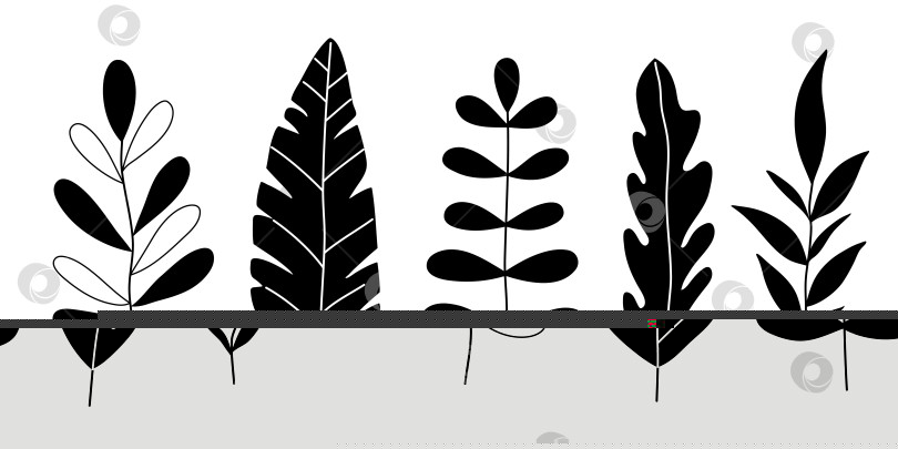 Скачать Нарисованные вручную каракули из тропических листьев, выделенные на белом фоне фотосток Ozero