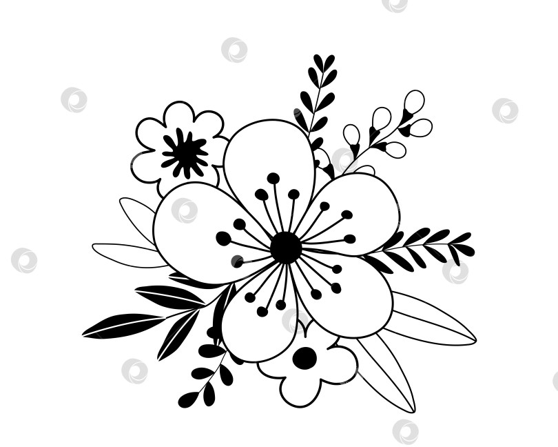 Скачать Нарисованная от руки ветка каракуля с цветами и листьями, выделенными на белом фоне фотосток Ozero