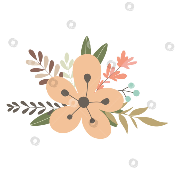 Скачать Нарисованная от руки ветка с цветами и листьями, выделенными на белом фоне фотосток Ozero