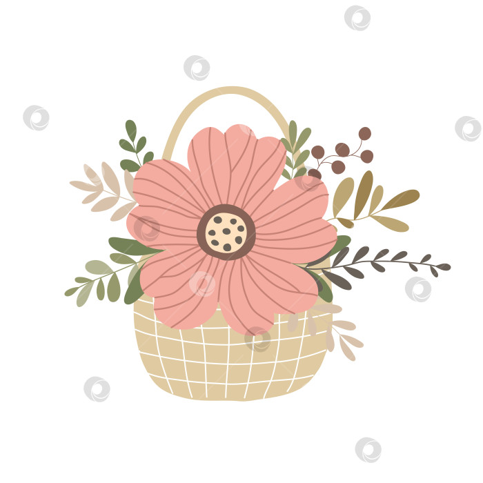 Скачать Нарисованная вручную плетеная корзина с цветами и листьями, выделенными на белом фоне фотосток Ozero