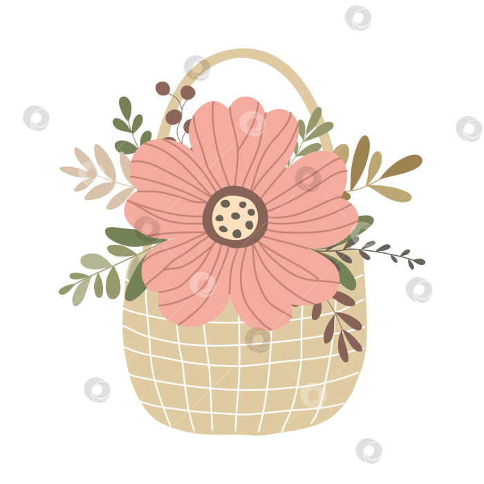 Скачать Нарисованная вручную плетеная корзина с цветами и листьями, выделенными на белом фоне фотосток Ozero
