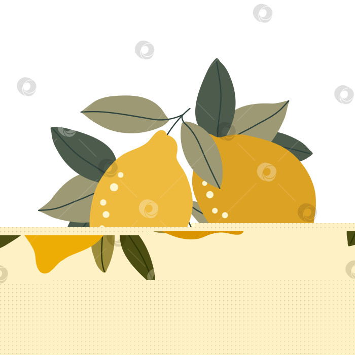 Скачать Нарисованные от руки лимоны с цветами и листьями, выделенные на белом фоне фотосток Ozero