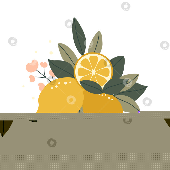 Скачать Нарисованные от руки лимоны с цветами и листьями, выделенные на белом фоне фотосток Ozero