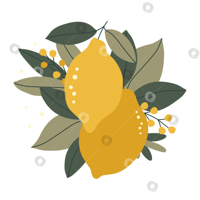 Скачать Нарисованные от руки лимоны с цветами и листьями, выделенные на белом фоне фотосток Ozero