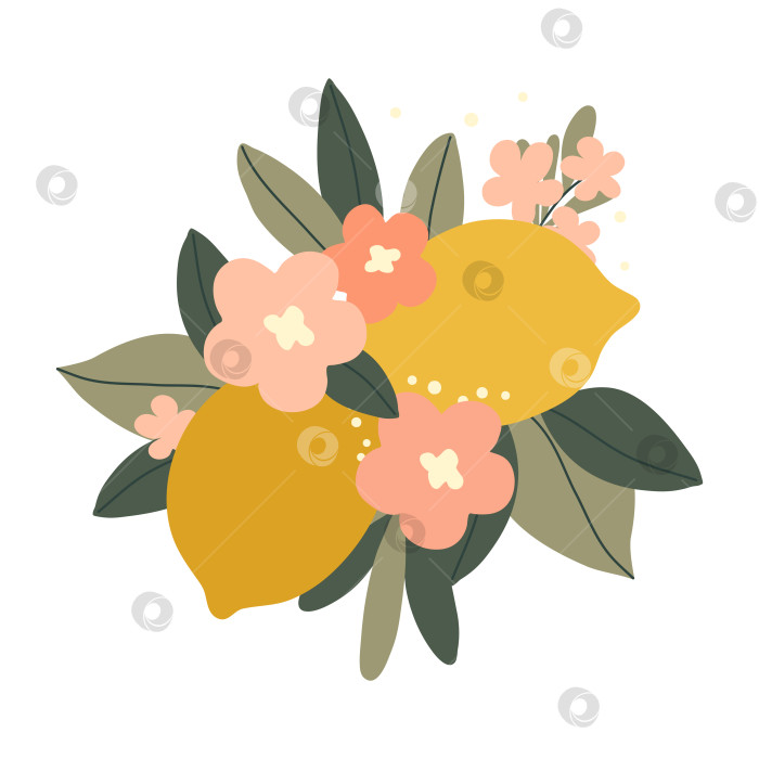 Скачать Нарисованные от руки лимоны с цветами и листьями, выделенные на белом фоне фотосток Ozero