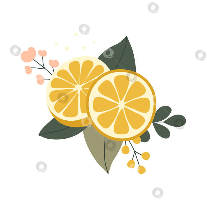 Скачать Нарисованные от руки лимоны с цветами и листьями, выделенные на белом фоне фотосток Ozero
