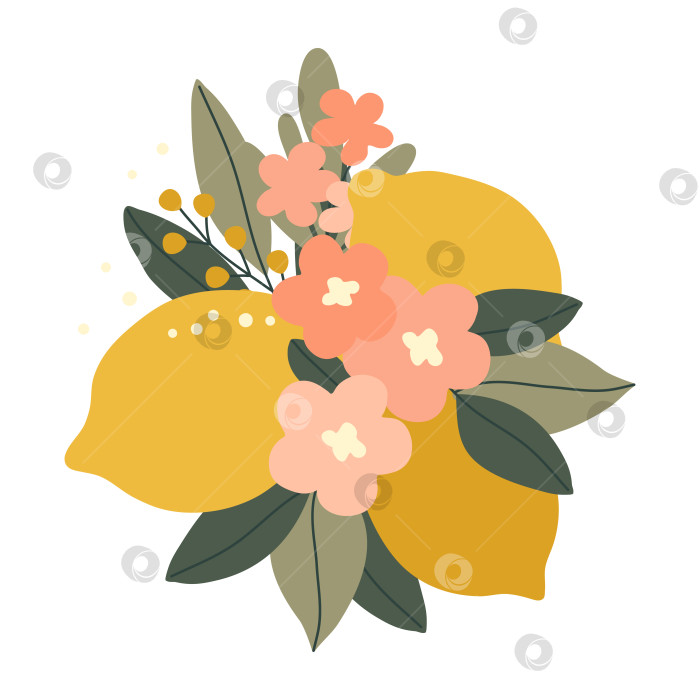 Скачать Нарисованные от руки лимоны с цветами и листьями, выделенные на белом фоне фотосток Ozero