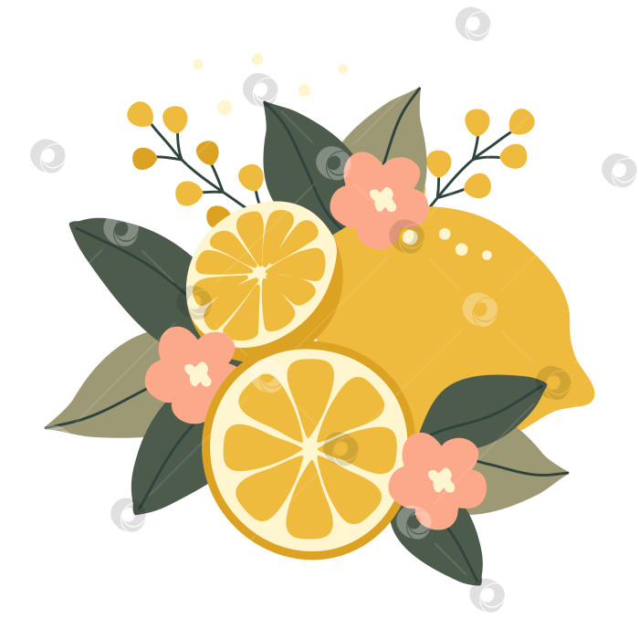 Скачать Нарисованные от руки лимоны с цветами и листьями, выделенные на белом фоне фотосток Ozero