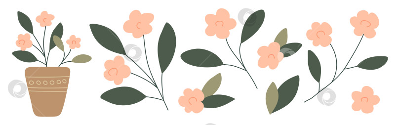 Скачать Нарисованные вручную цветы, выделенные на белом фоне фотосток Ozero