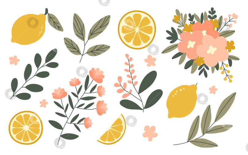Скачать Нарисованные вручную лимоны, плетеная корзина, цветы, ваза, листья, ветка, набор венков, изолированные на белом фоне фотосток Ozero