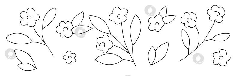 Скачать Нарисованные вручную цветы-каракули, выделенные на белом фоне фотосток Ozero