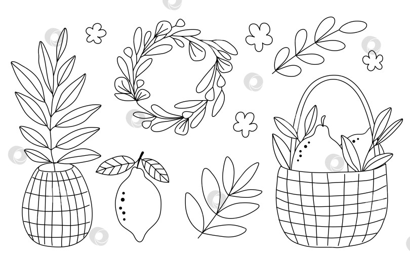 Скачать Нарисованные вручную лимоны, плетеная корзина, цветы, ваза, листья, ветка, набор венков, изолированные на белом фоне фотосток Ozero