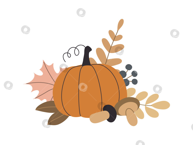 Скачать осенние тыквы, лесные листья и ягоды, выделенные на белом фоне фотосток Ozero