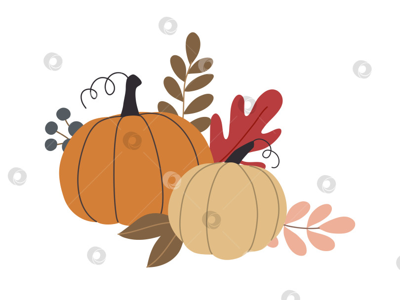 Скачать осенние тыквы, лесные листья и ягоды, выделенные на белом фоне фотосток Ozero