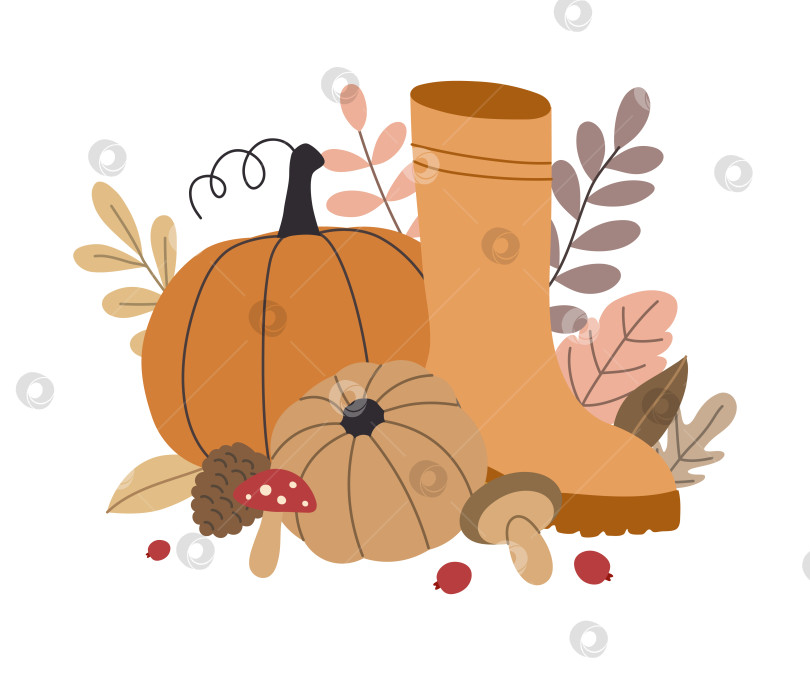 Скачать Осенние тыквы, лесные листья, ягоды, еловая шишка, резиновые сапоги на белом фоне фотосток Ozero