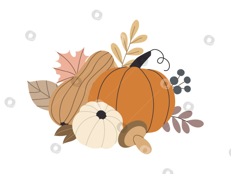 Скачать осенние тыквы, лесные листья и ягоды, выделенные на белом фоне фотосток Ozero