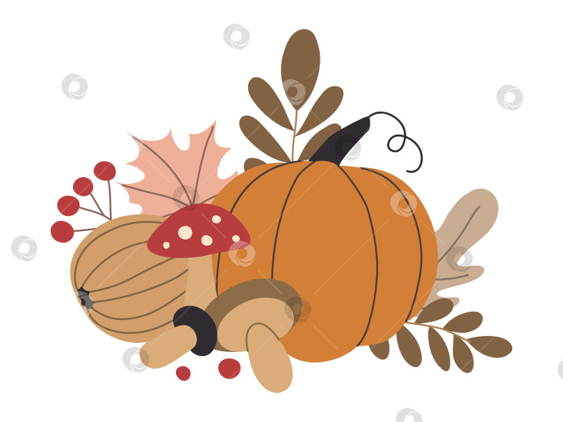 Скачать осенние тыквы, лесные листья и ягоды, выделенные на белом фоне фотосток Ozero