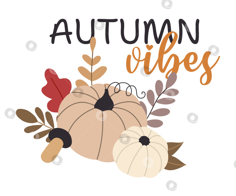 Скачать осенние тыквы, лесные листья и ягоды, выделенные на белом фоне фотосток Ozero