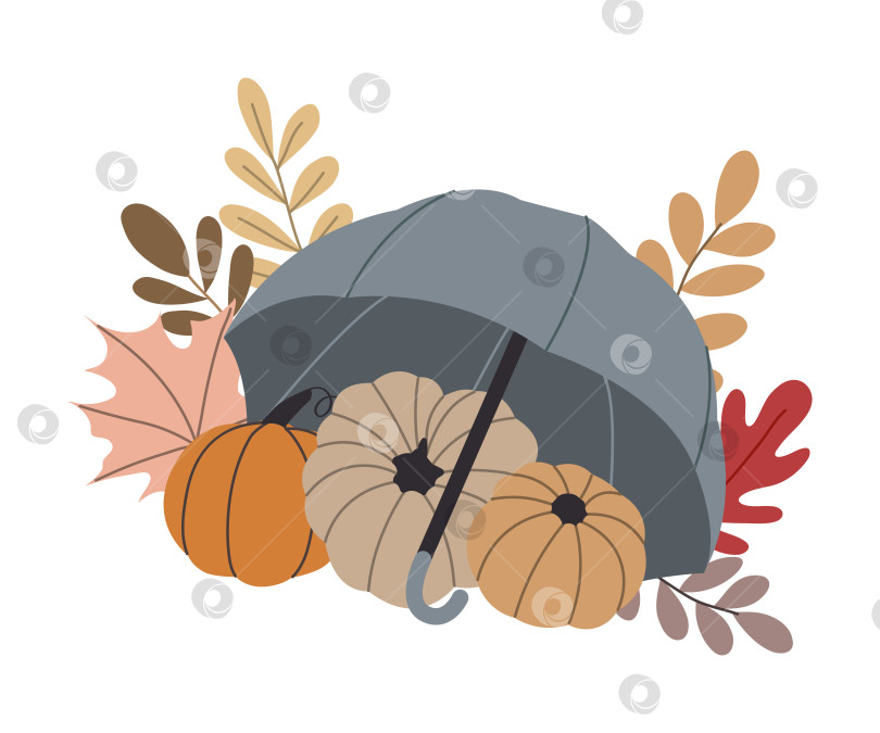 Скачать Осенние тыквы, лесные листья, зонтик, выделенный на белом фоне фотосток Ozero