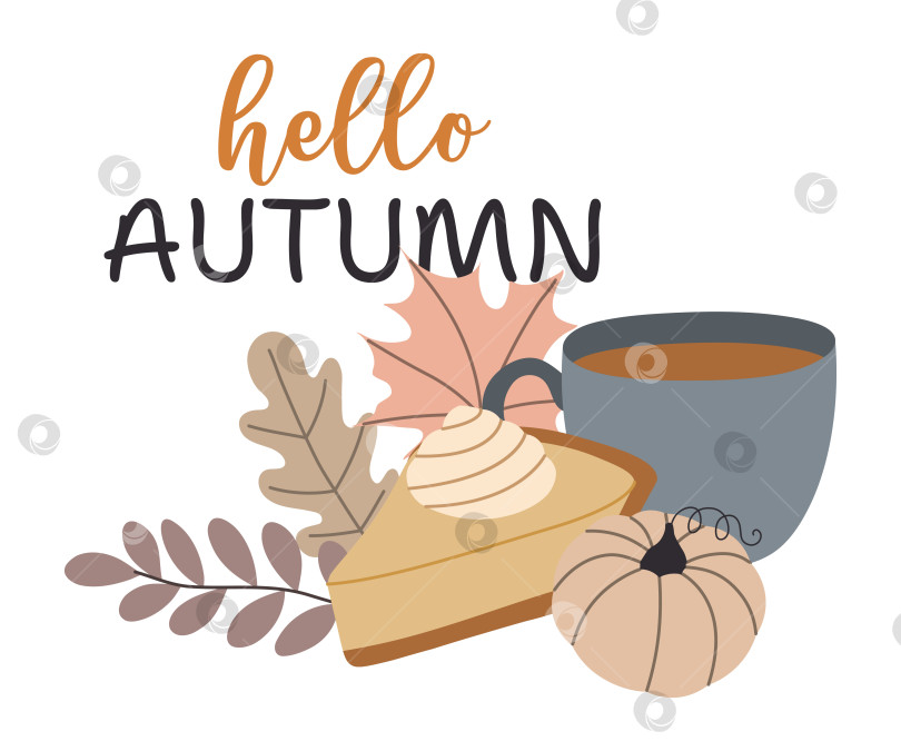 Скачать осенние тыквы, лесные листья, ягоды, кружка, чай, кофе, пирог, изолированные на белом фоне фотосток Ozero
