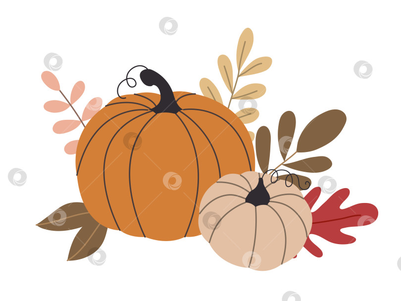 Скачать осенние тыквы, лесные листья и ягоды, выделенные на белом фоне фотосток Ozero