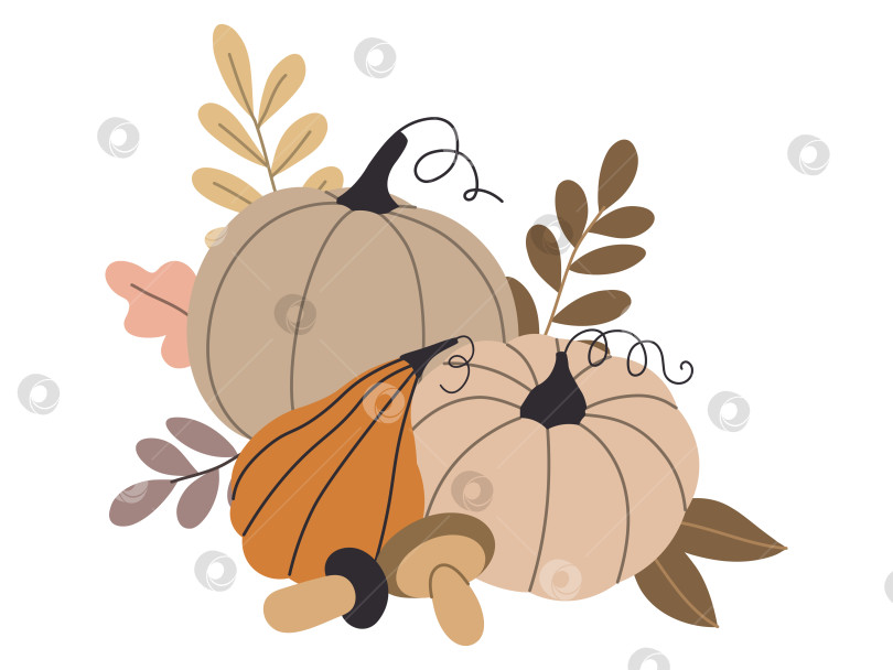 Скачать осенние тыквы, лесные листья и ягоды, выделенные на белом фоне фотосток Ozero