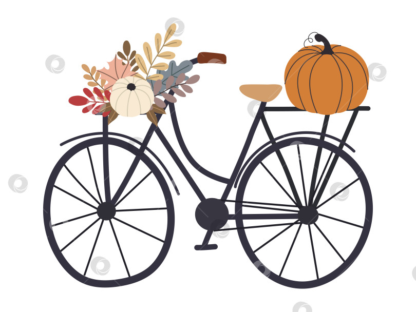 Скачать Велосипед с тыквами и листьями осеннего леса, выделенными на белом фоне фотосток Ozero