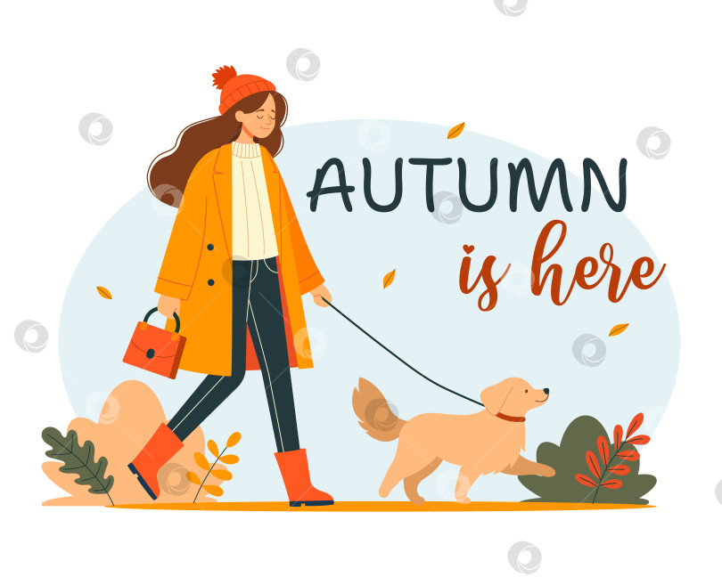 Скачать девушка с собакой фотосток Ozero