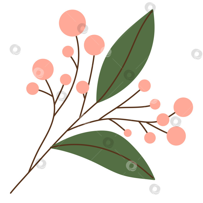 Скачать Зимняя ветка с красными ягодами и листьями, выделенными на белом фоне. Векторная иллюстрация, плоский стиль фотосток Ozero