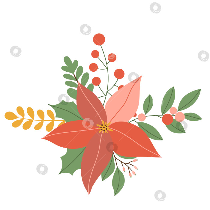 Скачать Зимний красный цветок пуансеттии с листьями и ягодами, рождественская звезда, выделенная на белом фоне. Векторная иллюстрация, плоский стиль фотосток Ozero
