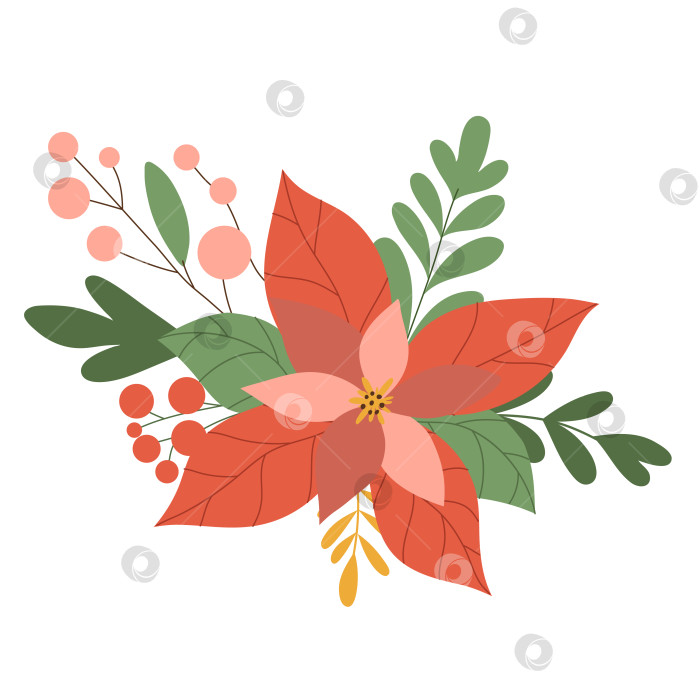 Скачать Зимний красный цветок пуансеттии с листьями и ягодами, рождественская звезда, выделенная на белом фоне. Векторная иллюстрация, плоский стиль фотосток Ozero