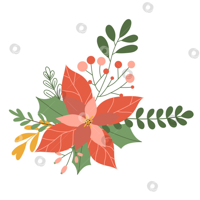 Скачать Зимний красный цветок пуансеттии с листьями и ягодами, рождественская звезда, выделенная на белом фоне. Векторная иллюстрация, плоский стиль фотосток Ozero