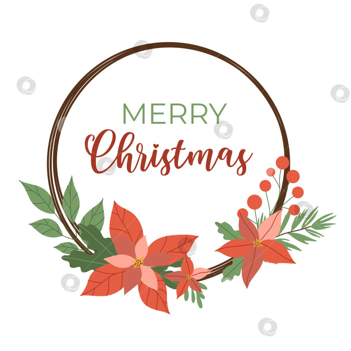 Скачать Плакат с Рождеством Христовым. Зимний красный цветок пуансеттии с листьями и ягодами, рождественский венок на белом фоне. Векторная иллюстрация, плоский стиль фотосток Ozero