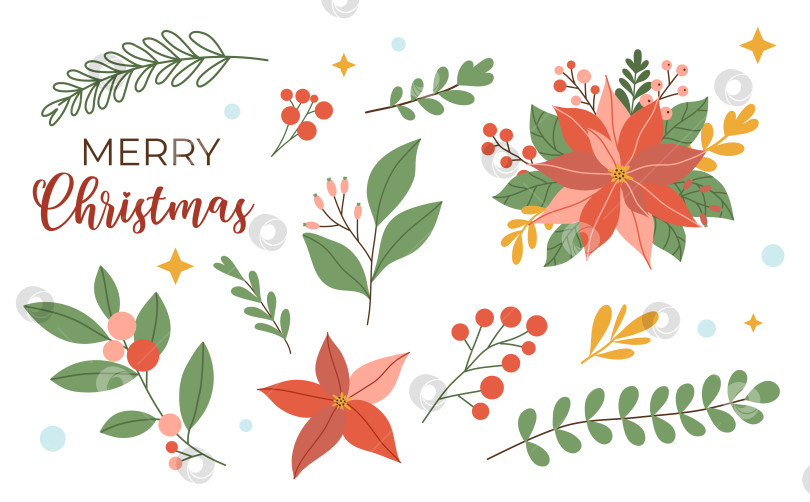 Скачать Набор элементов рождественского декора: ягоды, цветы, листья-звезды, изолированные на белом фоне. Векторная иллюстрация, плоский стиль фотосток Ozero