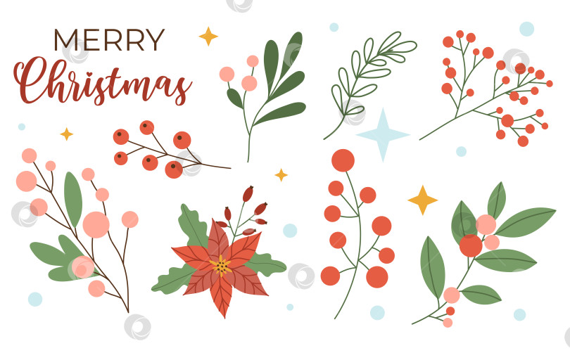 Скачать Набор элементов рождественского декора: ягоды, цветы, листья-звезды, изолированные на белом фоне. Векторная иллюстрация, плоский стиль фотосток Ozero