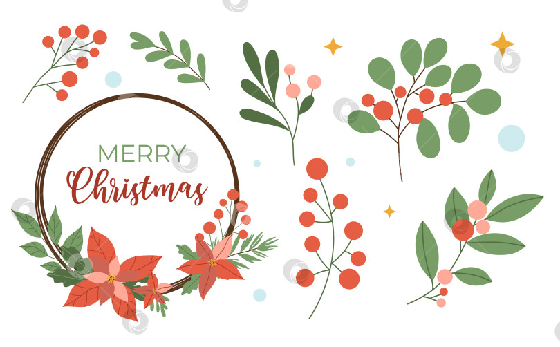 Скачать Набор элементов рождественского декора: ягоды, цветы, листья-звезды, изолированные на белом фоне. Векторная иллюстрация, плоский стиль фотосток Ozero