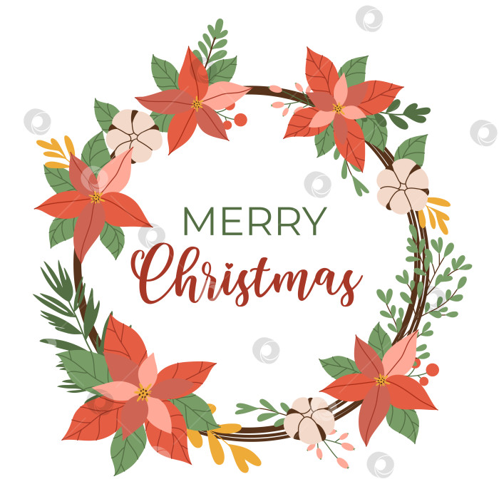 Скачать Плакат с Рождеством Христовым. Зимний красный цветок пуансеттии с листьями и ягодами, рождественский венок на белом фоне. Векторная иллюстрация, плоский стиль фотосток Ozero
