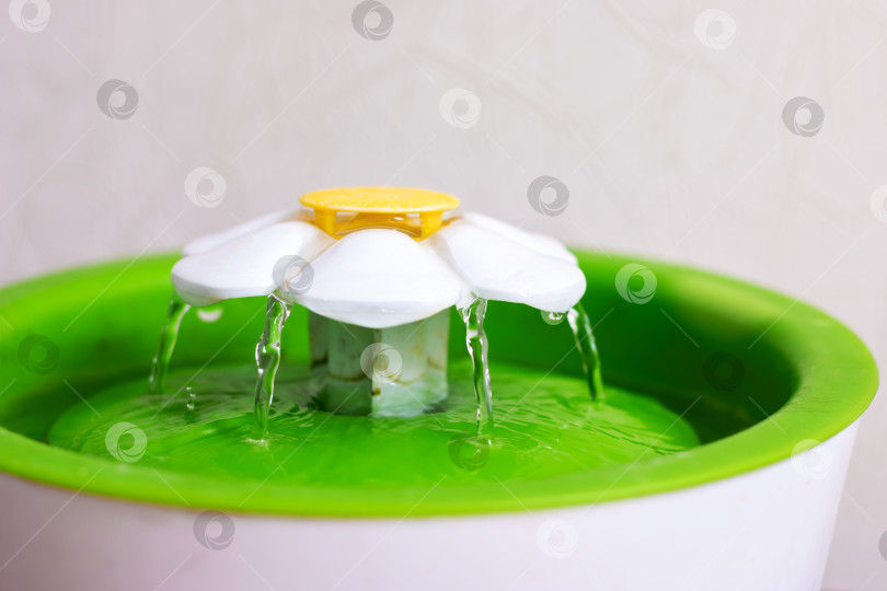 Скачать Зеленая чаша с цветком наверху и вытекающей из нее водой фотосток Ozero