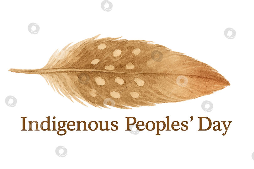 Скачать Иллюстрация из перьев в честь Дня коренных народов на прозрачном фоне фотосток Ozero