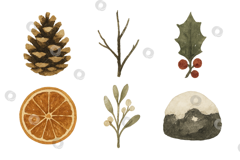 Скачать Зимние элементы Wabi sabi с изображением сосновой шишки, дольки апельсина, остролиста, изолированных фотосток Ozero