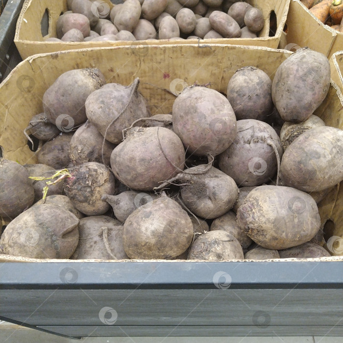 Скачать Отдел свёклы в магазине "Победа". фотосток Ozero