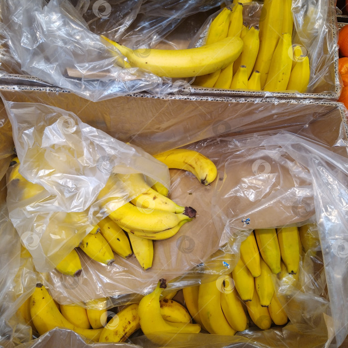 Скачать Отдел бананов в магазине "Магнит". фотосток Ozero