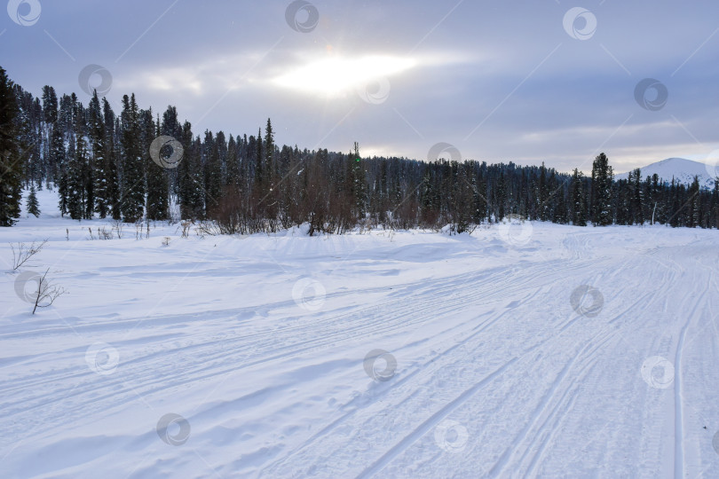 Скачать Зима в горной тайге фотосток Ozero
