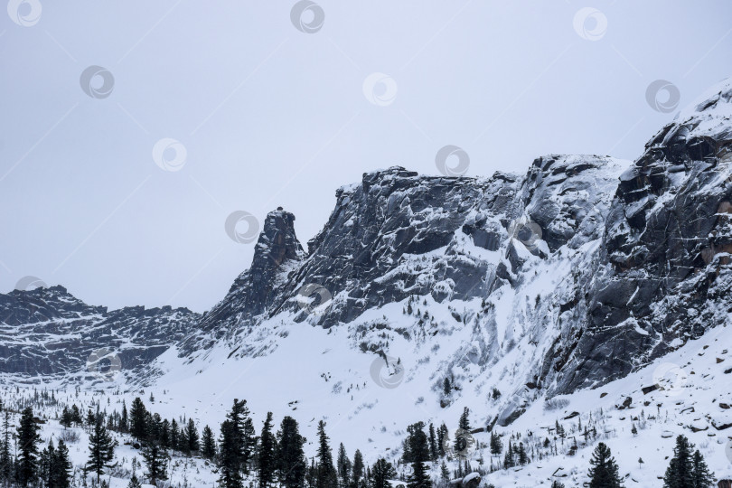 Скачать Зима в горной тайге фотосток Ozero