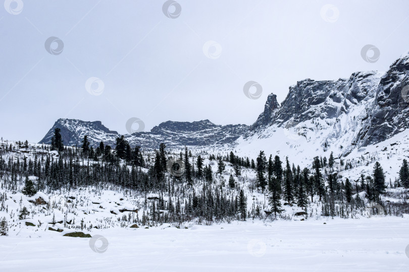 Скачать Зима в горной тайге, Спящий Саян фотосток Ozero